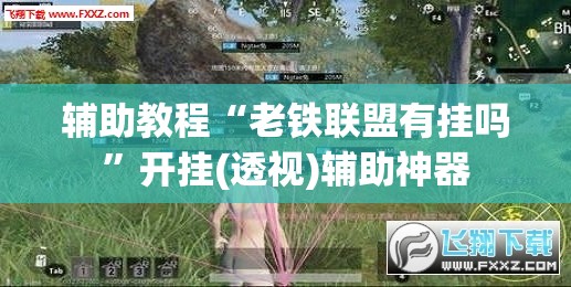 辅助教程“老铁联盟有挂吗”开挂(透视)辅助神器