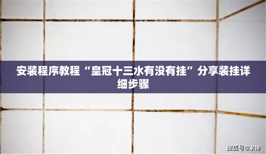 安装程序教程“皇冠十三水有没有挂	”分享装挂详细步骤