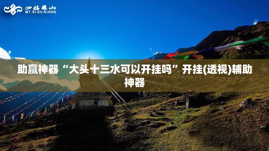 助赢神器“大头十三水可以开挂吗”开挂(透视)辅助神器