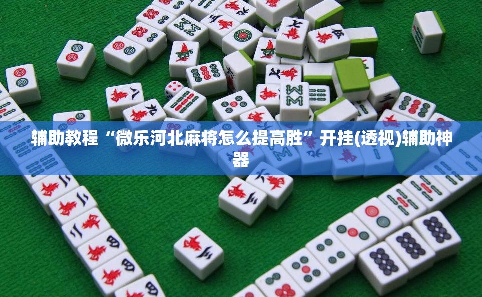 辅助教程“微乐河北麻将怎么提高胜”开挂(透视)辅助神器