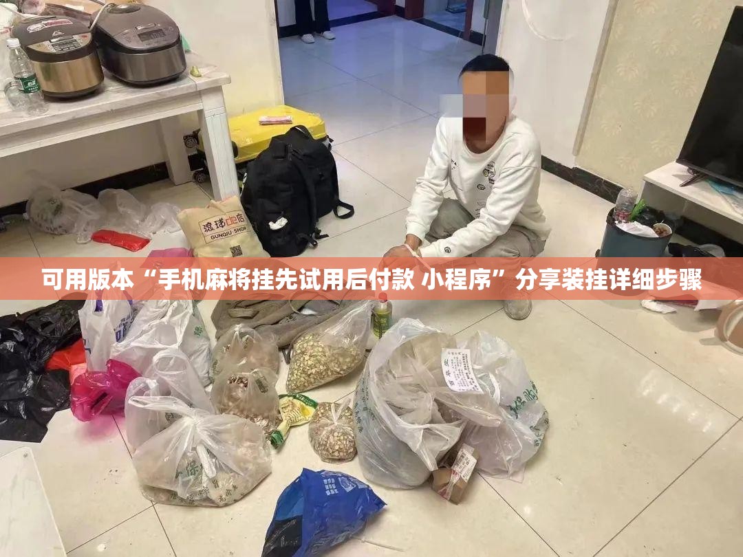 可用版本“手机麻将挂先试用后付款 小程序”分享装挂详细步骤