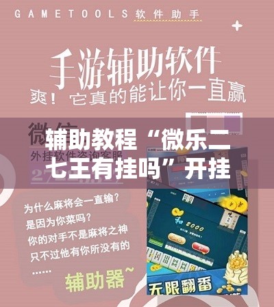 辅助教程“微乐二七王有挂吗”开挂辅助脚本+详细开挂安装教程