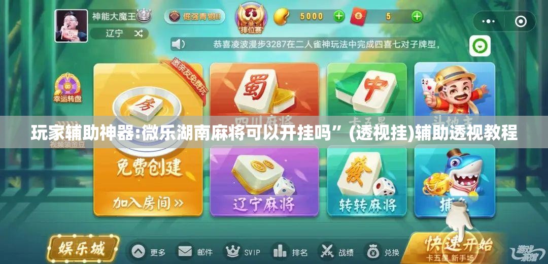 玩家辅助神器:微乐湖南麻将可以开挂吗	”(透视挂)辅助透视教程