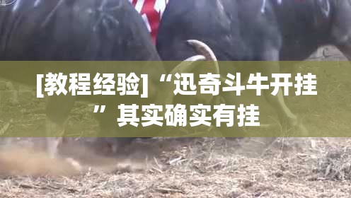 [教程经验]“迅奇斗牛开挂”其实确实有挂