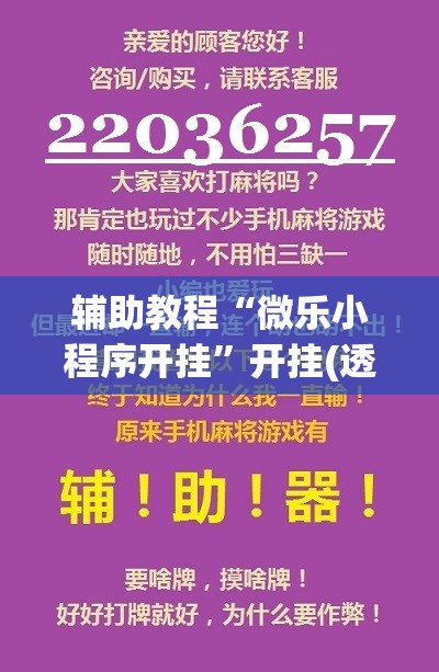 辅助教程“微乐小程序开挂	”开挂(透视)辅助教程