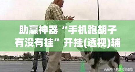 助赢神器“手机跑胡子有没有挂”开挂(透视)辅助神器