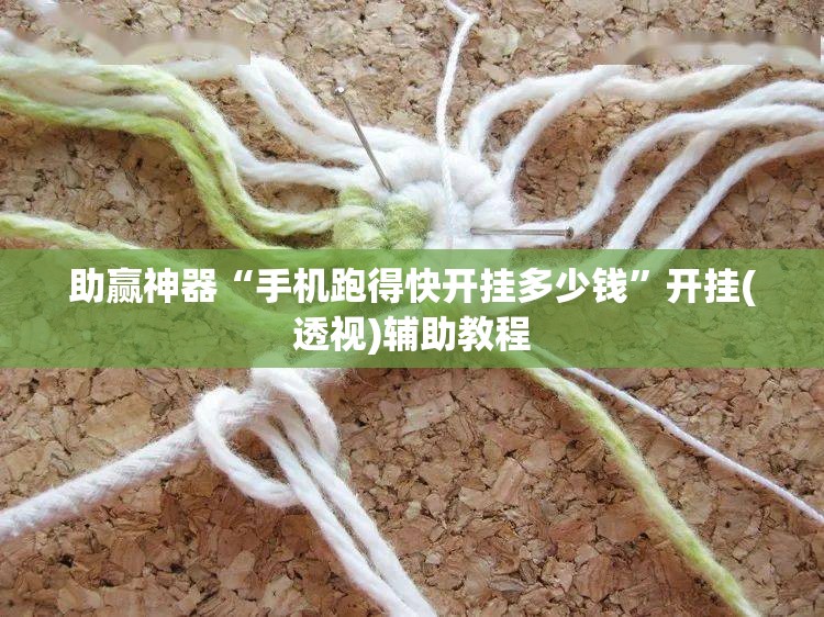 助赢神器“手机跑得快开挂多少钱”开挂(透视)辅助教程