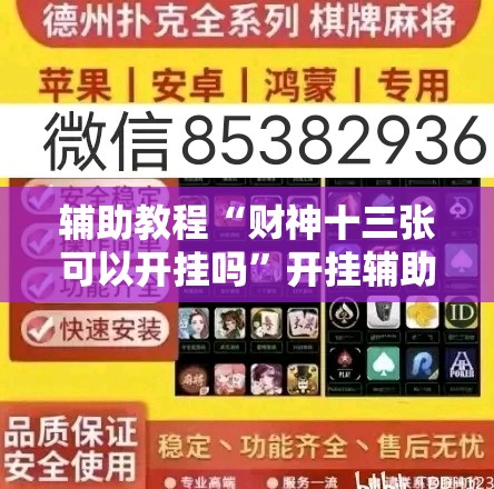 辅助教程“财神十三张可以开挂吗”开挂辅助脚本+详细开挂安装教程