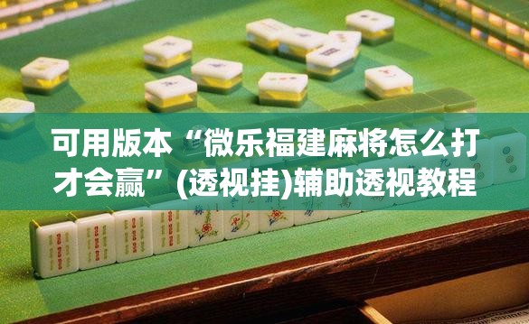 可用版本“微乐福建麻将怎么打才会赢”(透视挂)辅助透视教程
