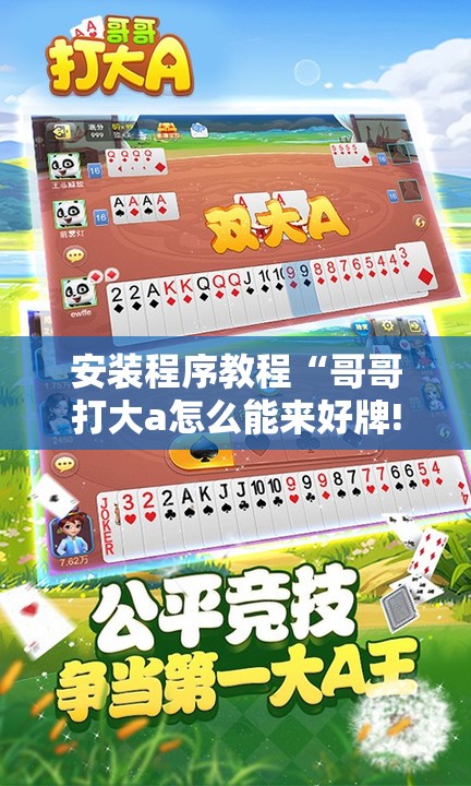 安装程序教程“哥哥打大a怎么能来好牌!辅助神器插件下载
