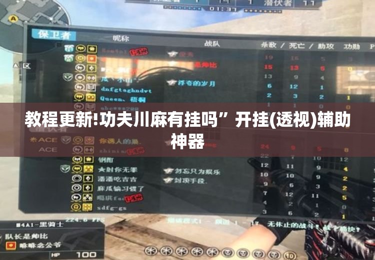 教程更新!功夫川麻有挂吗”开挂(透视)辅助神器