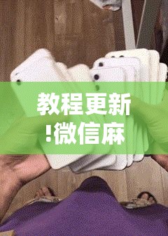 教程更新!微信麻将小程序万能开挂器	”其实确实有挂