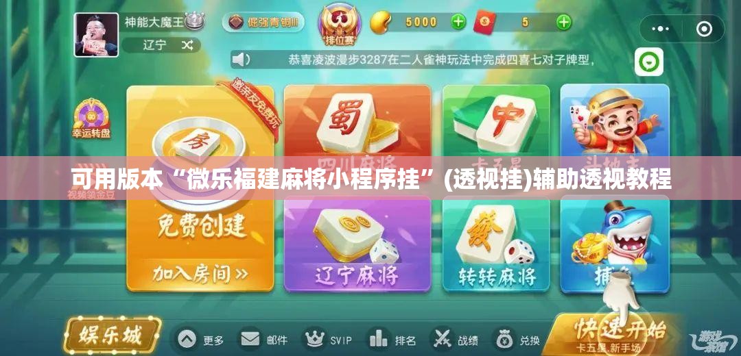 可用版本“微乐福建麻将小程序挂”(透视挂)辅助透视教程