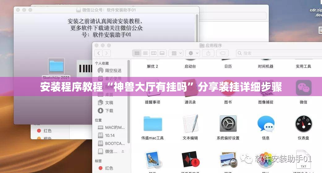 安装程序教程“神兽大厅有挂吗”分享装挂详细步骤