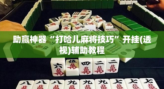 助赢神器“打哈儿麻将技巧	”开挂(透视)辅助教程