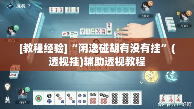 [教程经验]“闲逸碰胡有没有挂”(透视挂)辅助透视教程