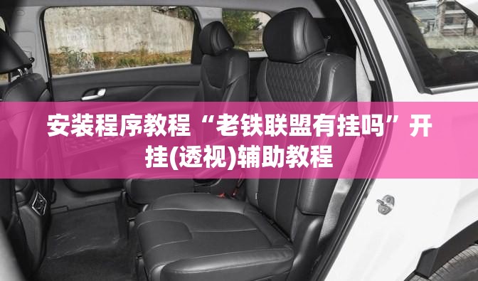 安装程序教程“老铁联盟有挂吗”开挂(透视)辅助教程