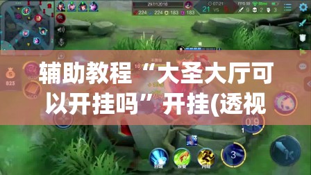辅助教程“大圣大厅可以开挂吗”开挂(透视)辅助教程