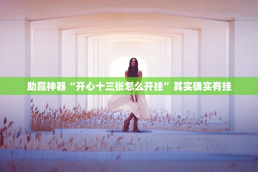 助赢神器“开心十三张怎么开挂”其实确实有挂