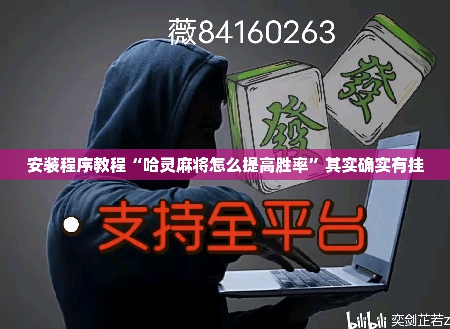 安装程序教程“哈灵麻将怎么提高胜率”其实确实有挂