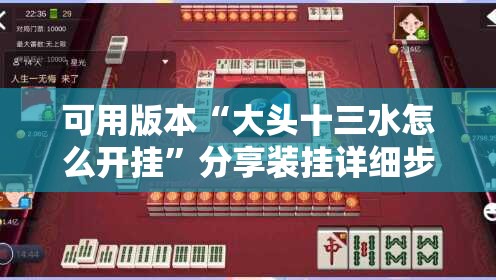 可用版本“大头十三水怎么开挂”分享装挂详细步骤