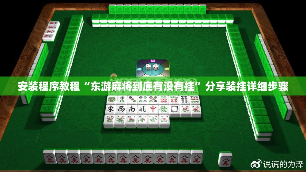 安装程序教程“东游麻将到底有没有挂”分享装挂详细步骤