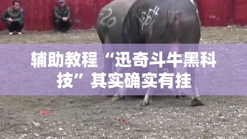 辅助教程“迅奇斗牛黑科技	”其实确实有挂