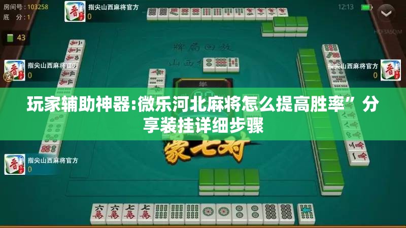 玩家辅助神器:微乐河北麻将怎么提高胜率	”分享装挂详细步骤
