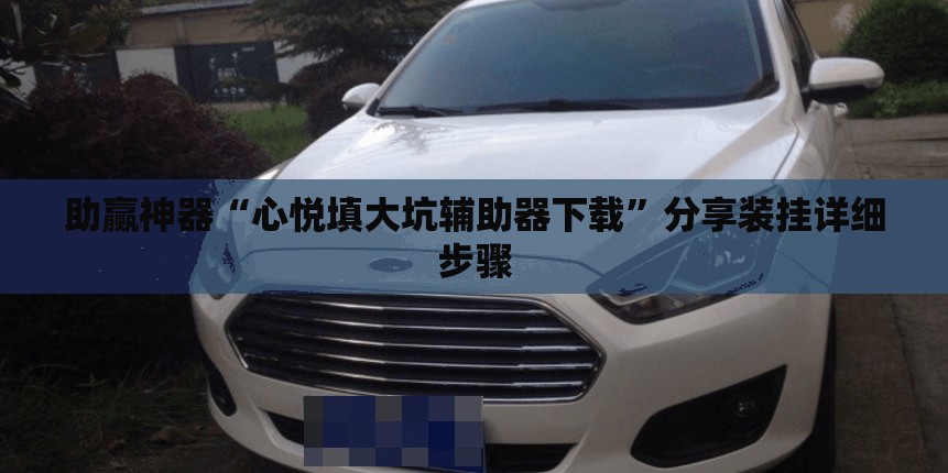 助赢神器“心悦填大坑辅助器下载	”分享装挂详细步骤