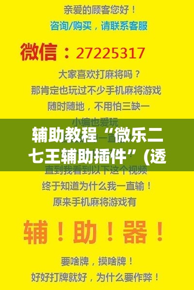 辅助教程“微乐二七王辅助插件”(透视挂)辅助透视教程