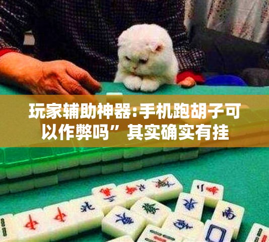 玩家辅助神器:手机跑胡子可以作弊吗”其实确实有挂