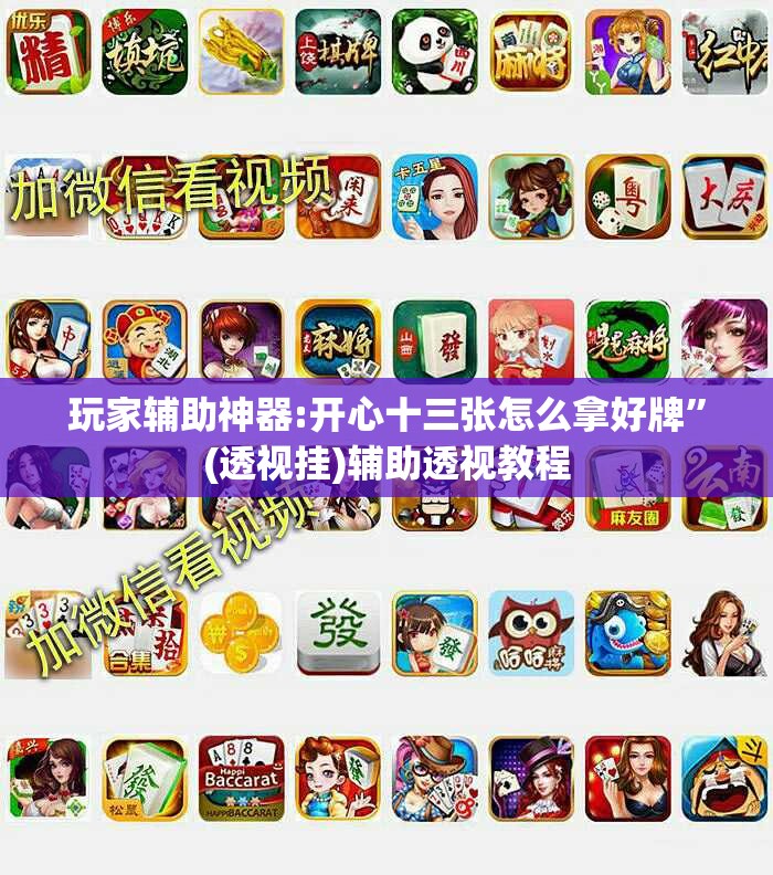玩家辅助神器:开心十三张怎么拿好牌	”(透视挂)辅助透视教程