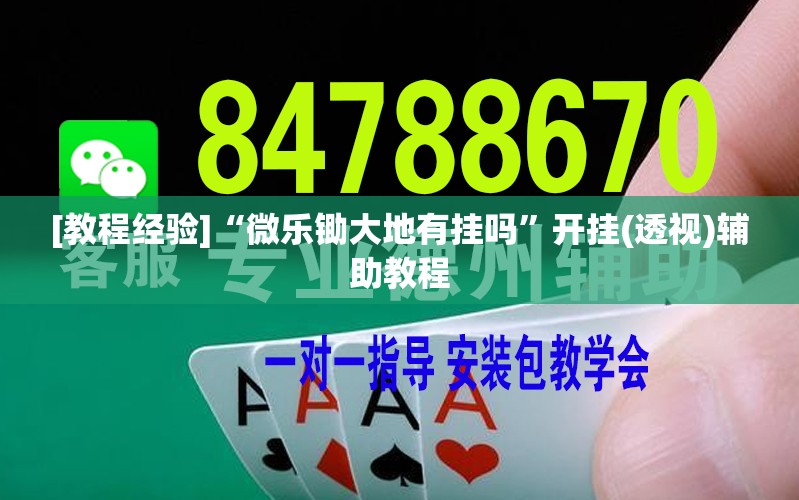 [教程经验]“微乐锄大地有挂吗”开挂(透视)辅助教程
