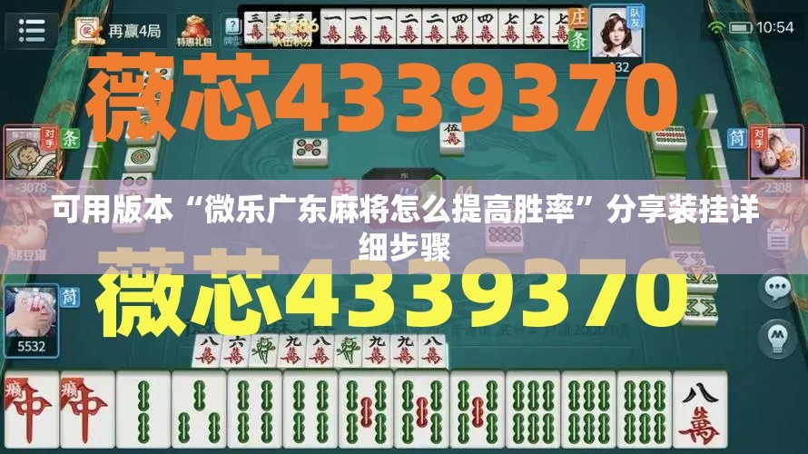 可用版本“微乐广东麻将怎么提高胜率”分享装挂详细步骤