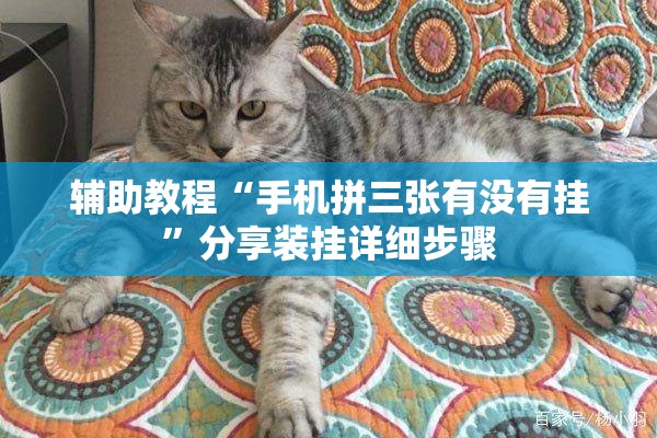 辅助教程“手机拼三张有没有挂	”分享装挂详细步骤