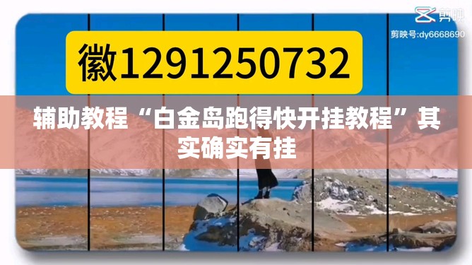 辅助教程“白金岛跑得快开挂教程”其实确实有挂