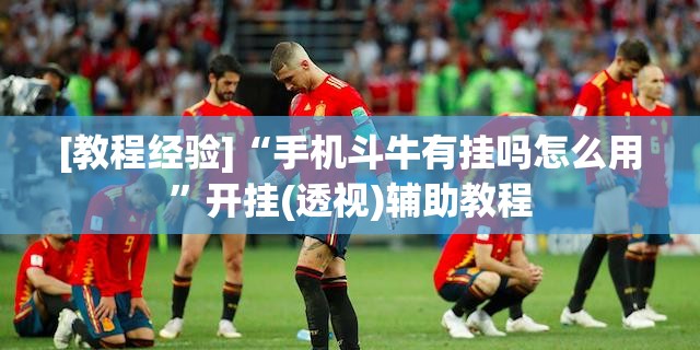 [教程经验]“手机斗牛有挂吗怎么用”开挂(透视)辅助教程