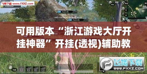 可用版本“浙江游戏大厅开挂神器”开挂(透视)辅助教程