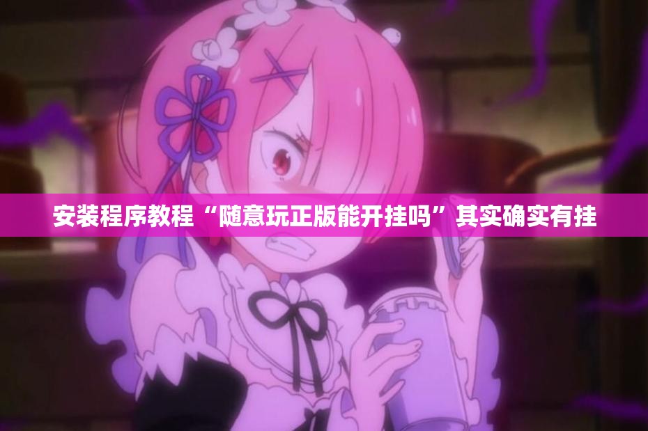 安装程序教程“随意玩正版能开挂吗”其实确实有挂