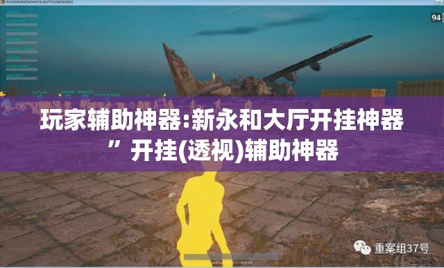 玩家辅助神器:新永和大厅开挂神器”开挂(透视)辅助神器