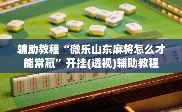 辅助教程“微乐山东麻将怎么才能常赢”开挂(透视)辅助教程