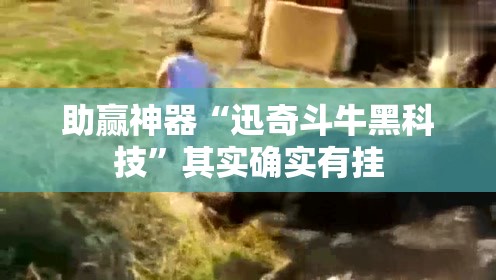 助赢神器“迅奇斗牛黑科技”其实确实有挂