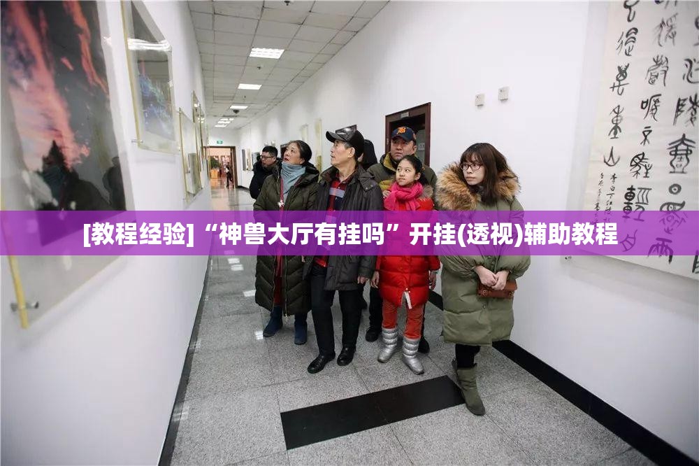 [教程经验]“神兽大厅有挂吗”开挂(透视)辅助教程