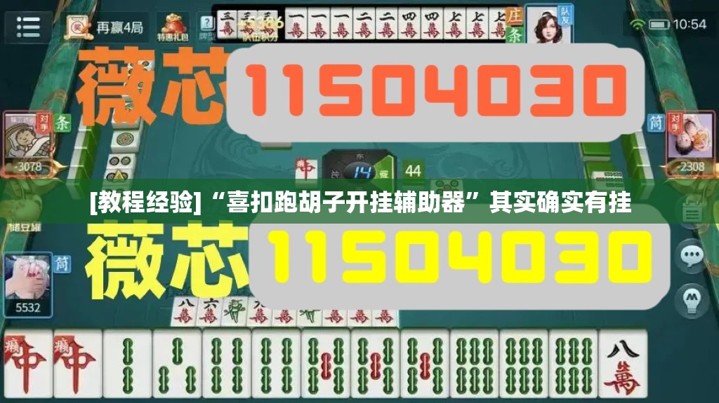 [教程经验]“喜扣跑胡子开挂辅助器”其实确实有挂
