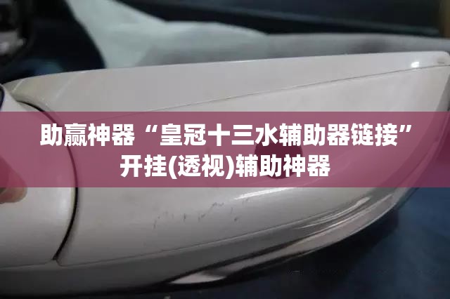 助赢神器“皇冠十三水辅助器链接	”开挂(透视)辅助神器