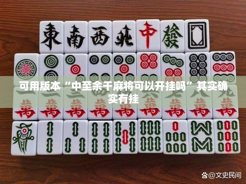 可用版本“中至余干麻将可以开挂吗”其实确实有挂