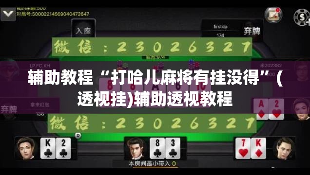 辅助教程“打哈儿麻将有挂没得”(透视挂)辅助透视教程