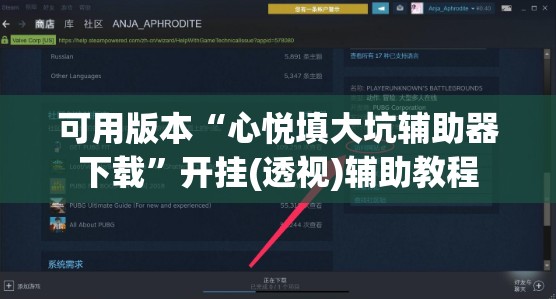 可用版本“心悦填大坑辅助器下载”开挂(透视)辅助教程
