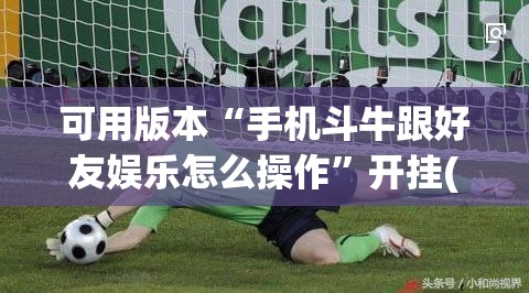 可用版本“手机斗牛跟好友娱乐怎么操作”开挂(透视)辅助教程