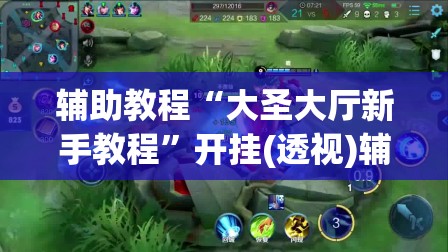 辅助教程“大圣大厅新手教程	”开挂(透视)辅助神器